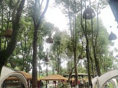-洪湖家庭农场·团建·露营·会议