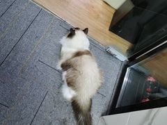 -零纪元VR体验馆·桌游(黄浦店)