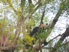 -泉州海丝野生动物世界