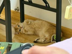 -若石足道SPA 连锁(丹东街店)