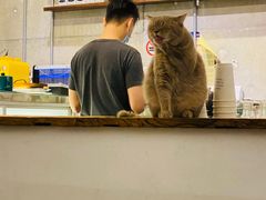 -MIMO CAFE(沙头角店)