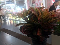-威克特披萨汉堡