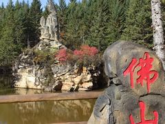 -茅兰沟国家森林公园
