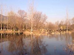 iphone_upload_pic-西昌邛海湿地