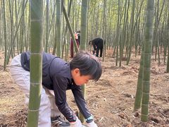 -同里国家湿地公园