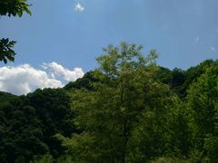 -驼梁风景区