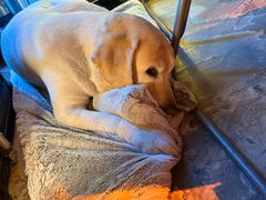 -新疆烧烤王(广灵店)