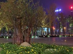 -百林公园-两江幸福广场
