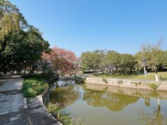 -江心屿景区
