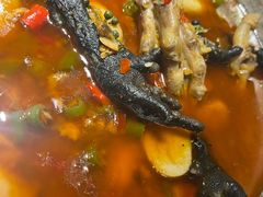 -老号尤兔头(幸福店)