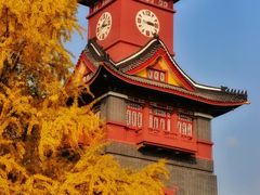 -四川大学(望江校区)