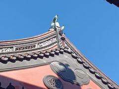 -钦赐仰殿道观