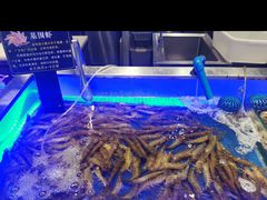 -SEA西雅图海鲜自助餐厅(正义店)