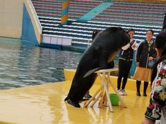 -秦皇岛乐岛海洋王国