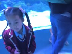 -海合安成都极地海洋公园