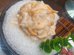 鸟贝-东海怡品海鲜豆捞(舟宿夜江店)
