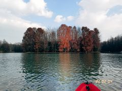 -上海海湾国家森林公园