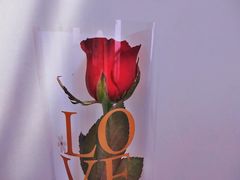 -老昌春饼(松北店)