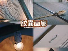 -胶囊画廊