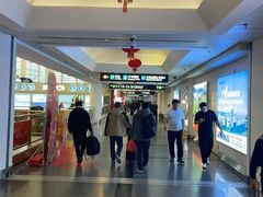 -厦门高崎国际机场-T3航站楼