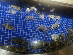-腾阁自助餐厅(朝林广场店)