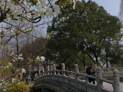 -苏州上方山国家森林公园