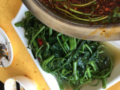 -胖大姐黄辣丁鱼庄(新津店)