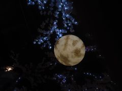 -蓝鲸湾汤泉(包河店)