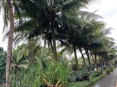-海口观澜湖火山温泉谷
