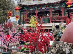 -红螺寺