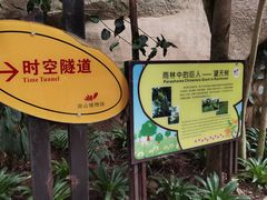 -南山植物园