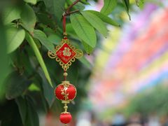 -南宫五洲植物乐园