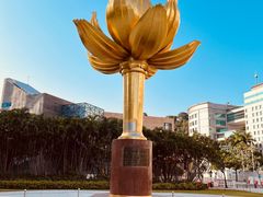 -金莲花广场