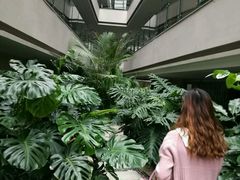 -威海天沐温泉度假区
