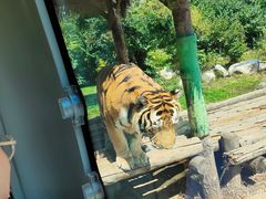 -西安秦岭野生动物园