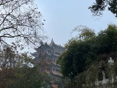 -汪记鲜鱼糊汤粉(沈阳路总店)