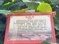 -硇洲岛旅游区