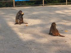 iphone_upload_pic-广州市流溪河国家森林公园