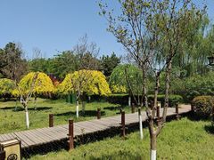 -西安汉城湖景区