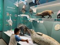 -国家自然博物馆