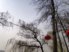 -蛮横肉蟹煲(印象城店)