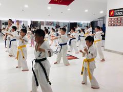 -极真空手道修远道场