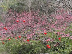-南山风景名胜区