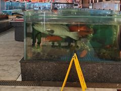 -聚福宝合苑食府(南头镇店)