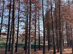-梁鸿国家湿地公园