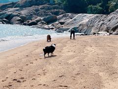 -玫瑰海岸文化旅游度假区