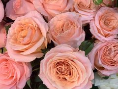 -爱尚花坊(大林路店)