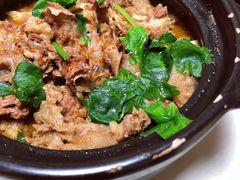 -原野牛肉岛
