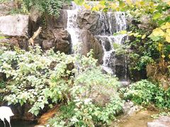 -陶祖圣境风景区