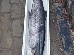 -青岛沙子口国家中心渔港